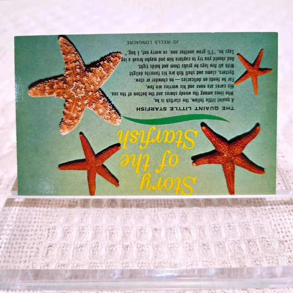 Vintage Story of the Starfish The Quaint Little Starfish HS Crocker Postcard UNP